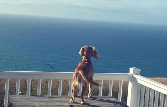 Seaview,sleeps 4to6,pet Friendly, Parking - Foto 20