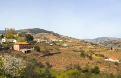 Cantinho da Quintã - Photo 11