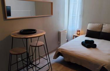 La Bulle de Tours, hyper center, train station in front! - Photo 8