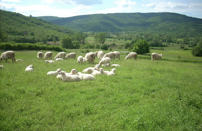 Farmhouse Near Lake Trasimeno With Pool - Foto 40