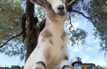 A Ca du Giaba - Foto 25