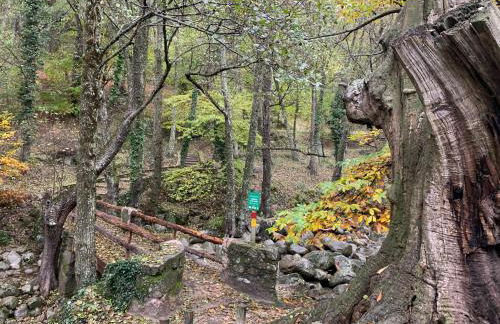 El Refugio de Felix - Photo 68