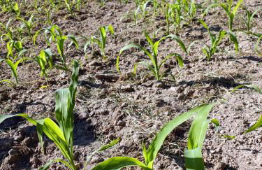 Family Secrets Douro - Foto 54