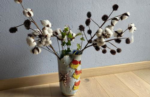 La casa delle stelle - Foto 22