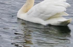 Tattershall Lakes Caravan - Foto 9