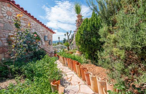 Villa Eleni - Photo 35