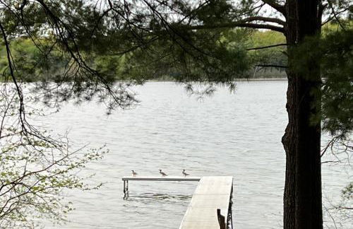 Wild Refuge Lodge - Foto 4