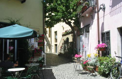 La rosa sul lago - Foto 17