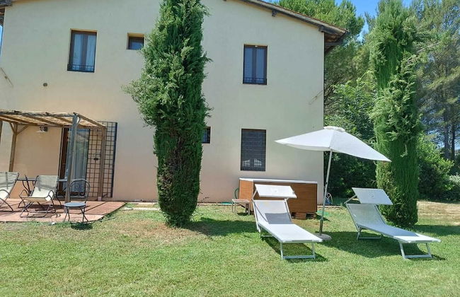 Gatto Bianco Tizzauli - Foto 22