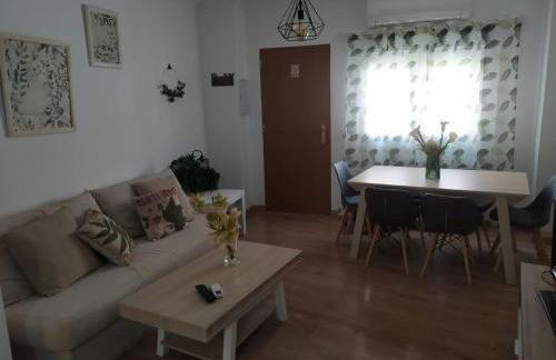 CENTRO HISTORICO - Foto 12