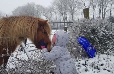 Sonnenschein am Rursee - Foto 45