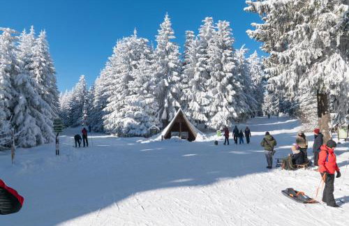 Ferienwohnung Tannenblick 2-2 3-4 - Photo 36