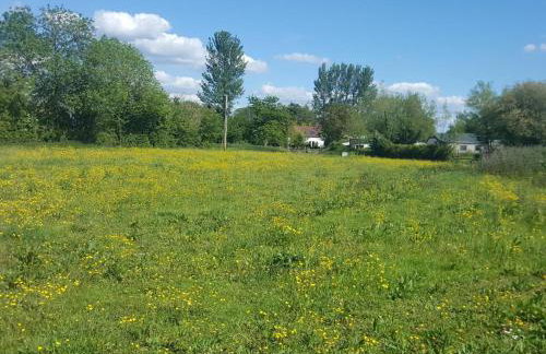 1 Bed in Taunton oc-75135 - Foto 21