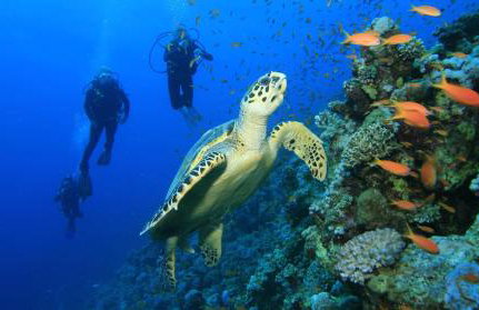 Amphitrite's Haven - Cycladic House in Marpissa, Paros - Photo 28