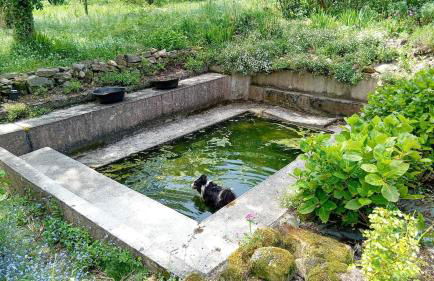 Old Farm renovated ,5 min from beach and forest - Foto 60