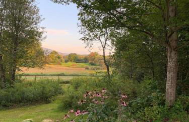 The Disco Den on Toad Road - Photo 19