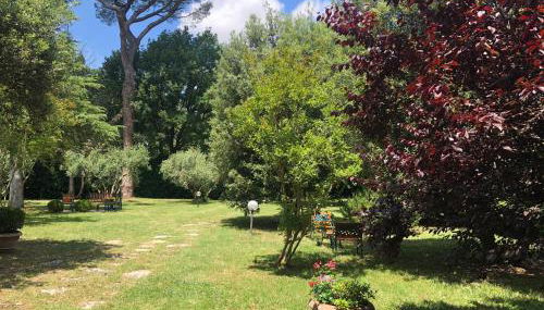 Casa Capanni alla Fila - Foto 5, Garden, Garden view