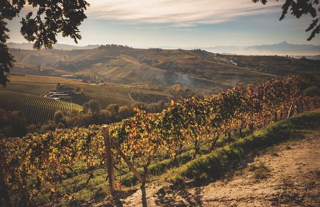 Cascina Baràc - Foto 40