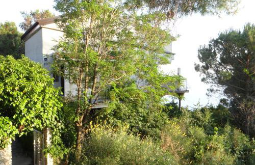 Apartments Bassi - Foto 39