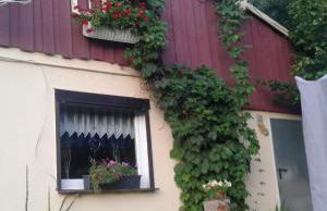 Bubi Niedlich - Foto 1