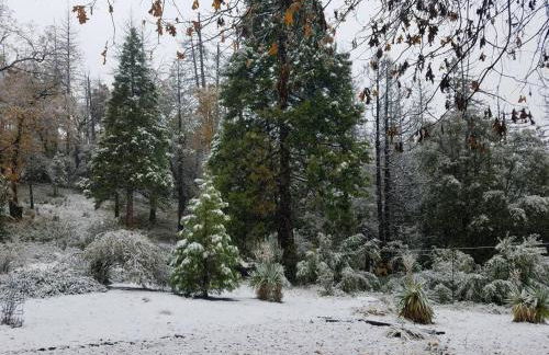 Uncle Grizz's Cabin...get intouch with nature - Foto 19