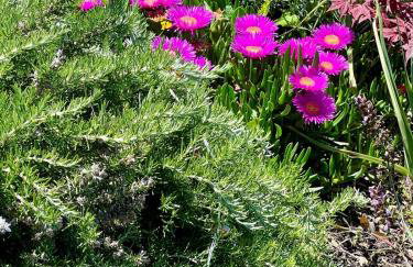 Luxury Villa El Istria with Pool, BBQ, Terrace - Labin-Rabac - Foto 56