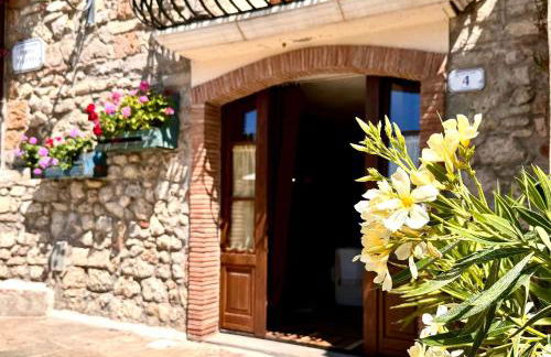 La Magentina - Foto 4