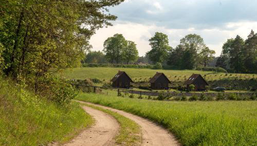 Oaza Mazurska - Domek z kominkiem - Foto 3