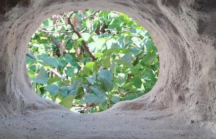 Casa Vrioni - Foto 48