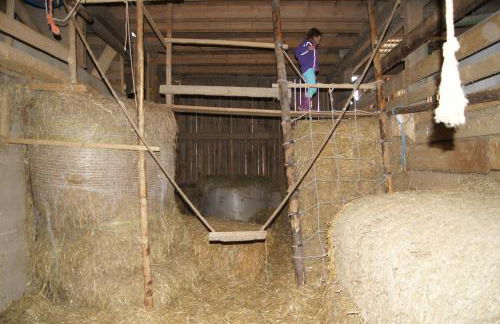 Bio-Erlebnisbauernhof Doll - Foto 17