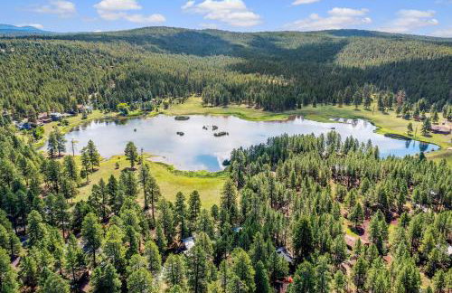 Stylish Cozy Cabin Retreat in Munds Park - Foto 38