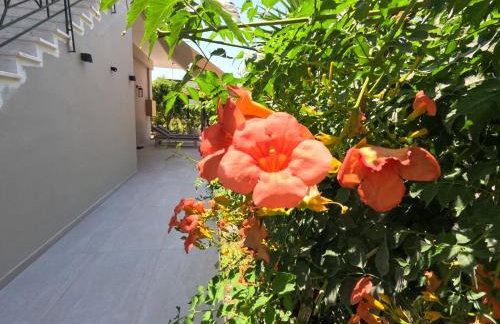 Kalliope Premium Apartment - Foto 17