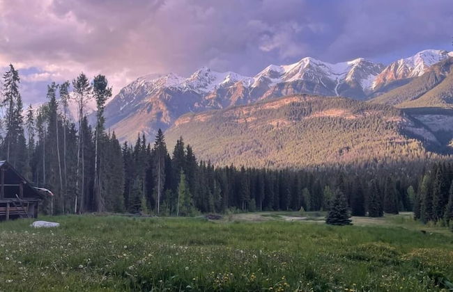 Rustic Beaverfoot Lodge Woodland Cabin - Photo 9