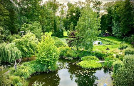 Ferienwohnungen direkt am Wasser - Photo 7