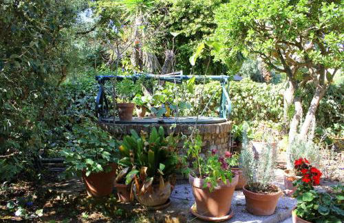 Spiti Prifti Apartments - Photo 148