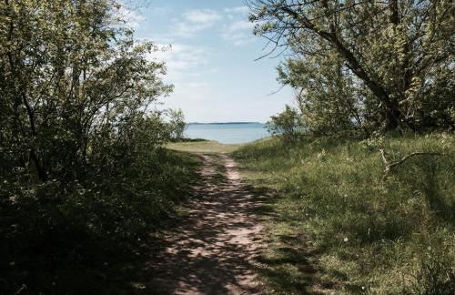 Tallskog - Dein Apartment am Naturstrand Hohen Wieschendorf - Foto 18