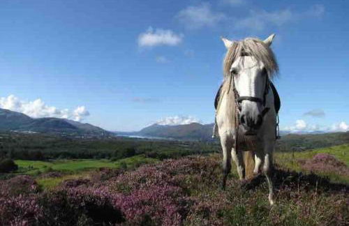 Wild Nurture Eco Luxury Offgrid Log Cabin - Foto 56