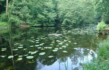 Apartment Schlossblick - Top location - Foto 43