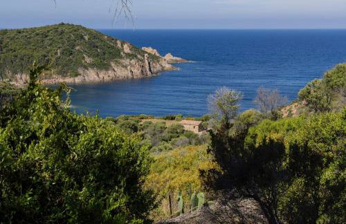 Signura, maison entre mer et maquis - Foto 4