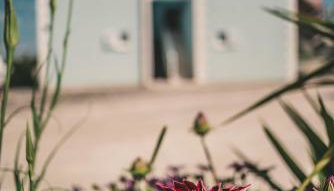 Apartments Blue House - Photo 4