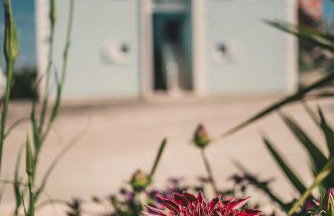 Apartments Blue House - Photo 4