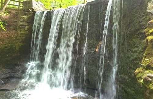 Bwthyn Bach (Tiny Cottage) - Foto 12