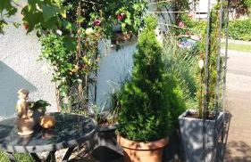 Ferienwohnung Rosentraum - Foto 8