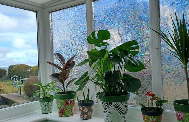 Relax With Amazing Views! 1-bed Studio in Tegryn - Foto 27