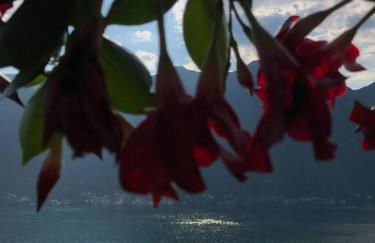 Casa privata con splendida vista lago "Il Gallicantus" - Foto 17