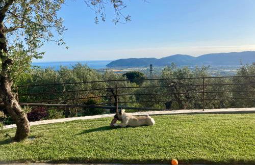 A CASA DI OLIVO - Foto 37