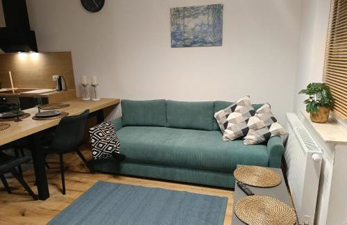 MODERN APARTAMENT Walendów - Foto 15