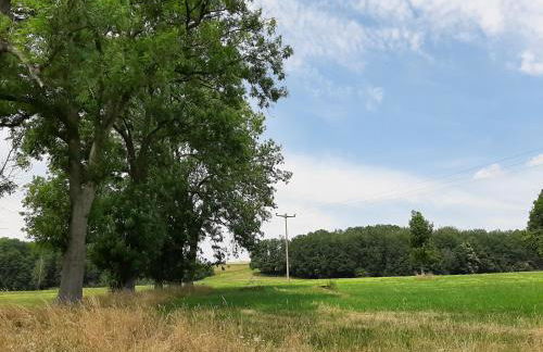 Ferienwohnung im grünen Muldental - Foto 22