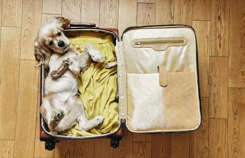 Incredible A-frame with Fabulous Panoramic Views and Hot-tub in Makanda, Illinois - Foto 28