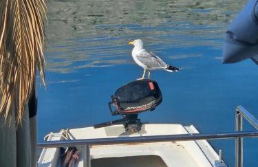 Apartmani Katine - Photo 7